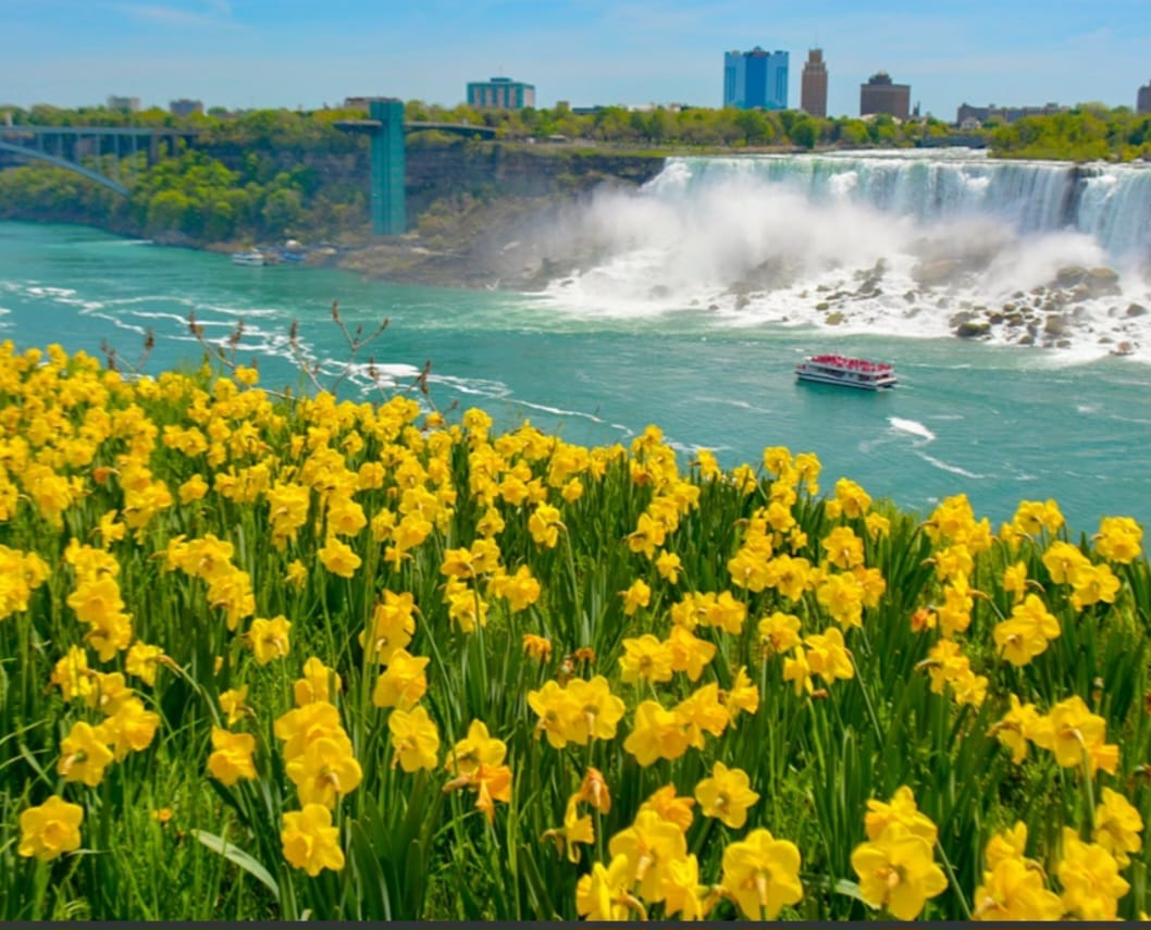 Niagara Falls view 6